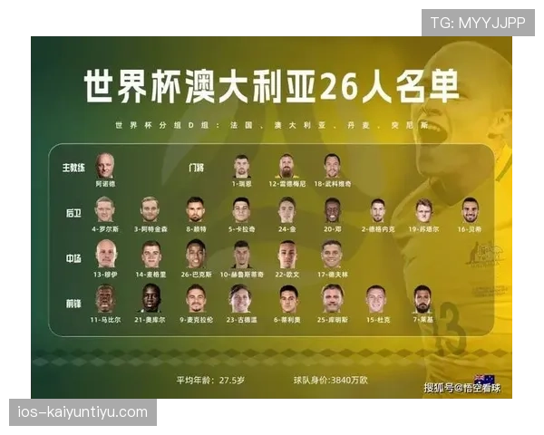 世界杯澳大利亚队D组中场实力解析